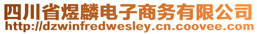 四川省煜麟電子商務(wù)有限公司