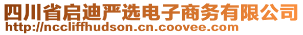 四川省啟迪嚴(yán)選電子商務(wù)有限公司