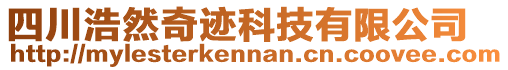 四川浩然奇跡科技有限公司