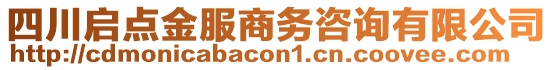 四川啟點金服商務(wù)咨詢有限公司