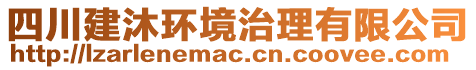 四川建沐環(huán)境治理有限公司