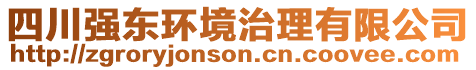 四川強(qiáng)東環(huán)境治理有限公司