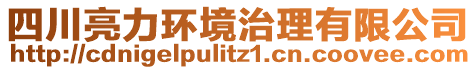 四川亮力環(huán)境治理有限公司