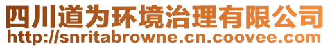 四川道為環(huán)境治理有限公司