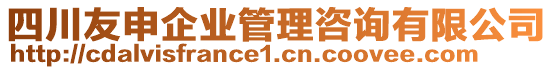 四川友申企業(yè)管理咨詢有限公司