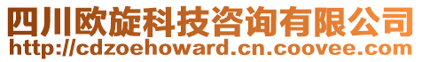 四川歐旋科技咨詢有限公司