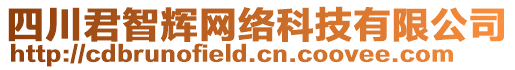 四川君智輝網(wǎng)絡(luò)科技有限公司