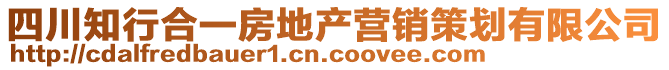 四川知行合一房地產(chǎn)營銷策劃有限公司