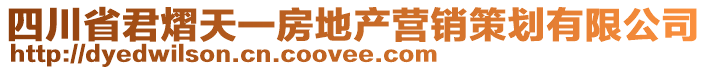 四川省君熠天一房地產(chǎn)營銷策劃有限公司