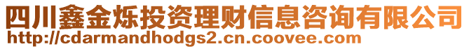 四川鑫金爍投資理財(cái)信息咨詢(xún)有限公司