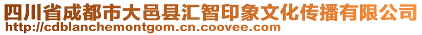 四川省成都市大邑縣匯智印象文化傳播有限公司