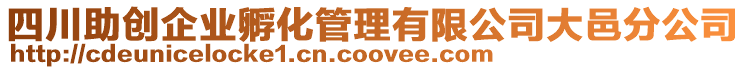 四川助創企業孵化管理有限公司大邑分公司
