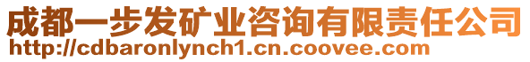 成都一步發(fā)礦業(yè)咨詢有限責任公司