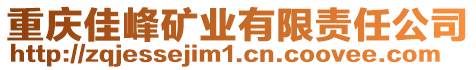 重慶佳峰礦業(yè)有限責(zé)任公司