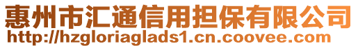 惠州市匯通信用擔(dān)保有限公司