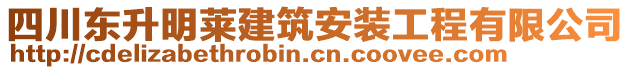 四川東升明萊建筑安裝工程有限公司