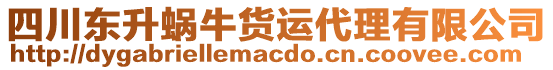 四川東升蝸牛貨運(yùn)代理有限公司