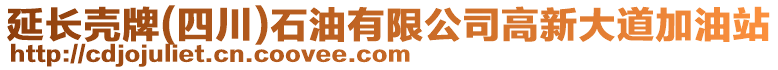 延長殼牌(四川)石油有限公司高新大道加油站