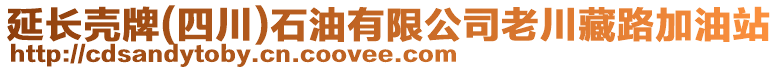 延長殼牌(四川)石油有限公司老川藏路加油站