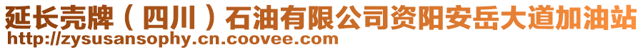 延長殼牌（四川）石油有限公司資陽安岳大道加油站