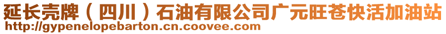 延長(zhǎng)殼牌(四川)石油有限公司廣元旺蒼快活加油站