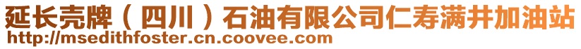 延長殼牌（四川）石油有限公司仁壽滿井加油站