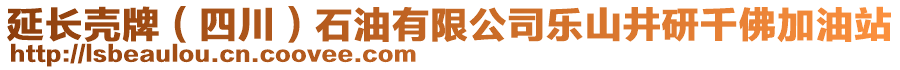 延長殼牌（四川）石油有限公司樂山井研千佛加油站