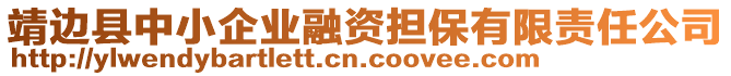 靖邊縣中小企業(yè)融資擔(dān)保有限責(zé)任公司