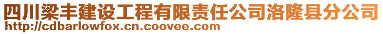 四川梁豐建設(shè)工程有限責(zé)任公司洛隆縣分公司