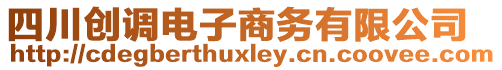 四川創(chuàng)調(diào)電子商務(wù)有限公司