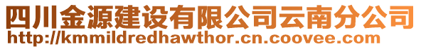 四川金源建設(shè)有限公司云南分公司