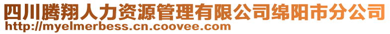 四川騰翔人力資源管理有限公司綿陽市分公司