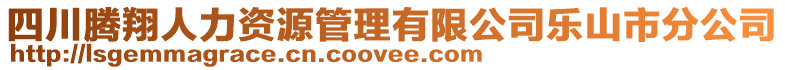 四川騰翔人力資源管理有限公司樂山市分公司