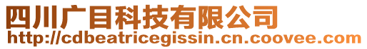 四川廣目科技有限公司