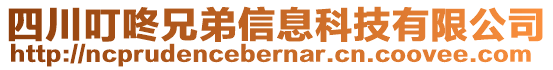 四川叮咚兄弟信息科技有限公司