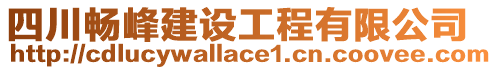 四川暢峰建設(shè)工程有限公司