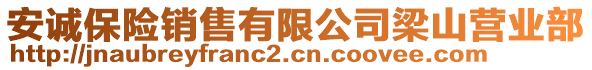 安誠保險銷售有限公司梁山營業(yè)部