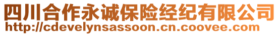 四川合作永誠保險經(jīng)紀(jì)有限公司