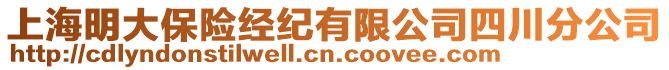 上海明大保險經(jīng)紀(jì)有限公司四川分公司