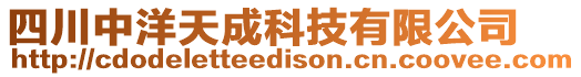 四川中洋天成科技有限公司