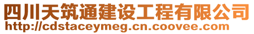 四川天筑通建設工程有限公司