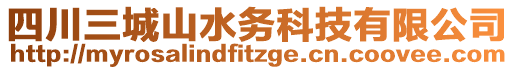 四川三城山水務(wù)科技有限公司