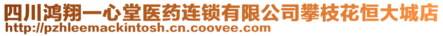 四川鴻翔一心堂醫(yī)藥連鎖有限公司攀枝花恒大城店