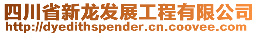 四川省新龍發展工程有限公司