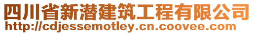 四川省新潛建筑工程有限公司