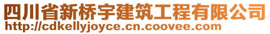 四川省新橋宇建筑工程有限公司