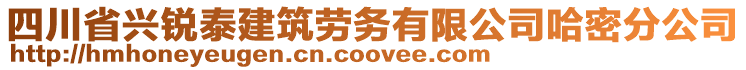 四川省興銳泰建筑勞務(wù)有限公司哈密分公司