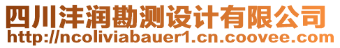 四川灃潤(rùn)勘測(cè)設(shè)計(jì)有限公司