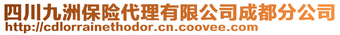 四川九洲保險代理有限公司成都分公司