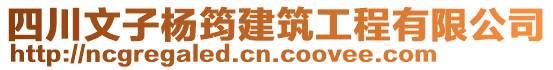 四川文子楊筠建筑工程有限公司